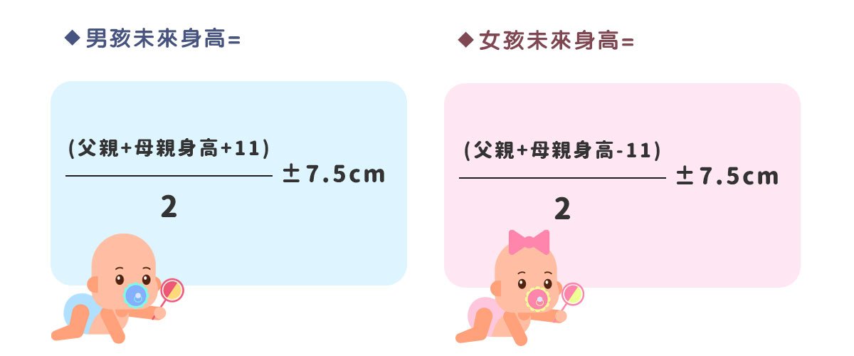 孩子能長多高？算一算就知道！