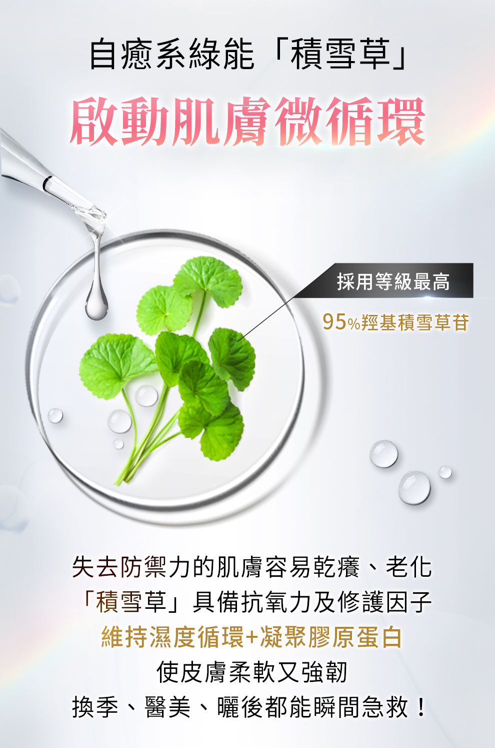 95%積雪草苷急救修復保濕