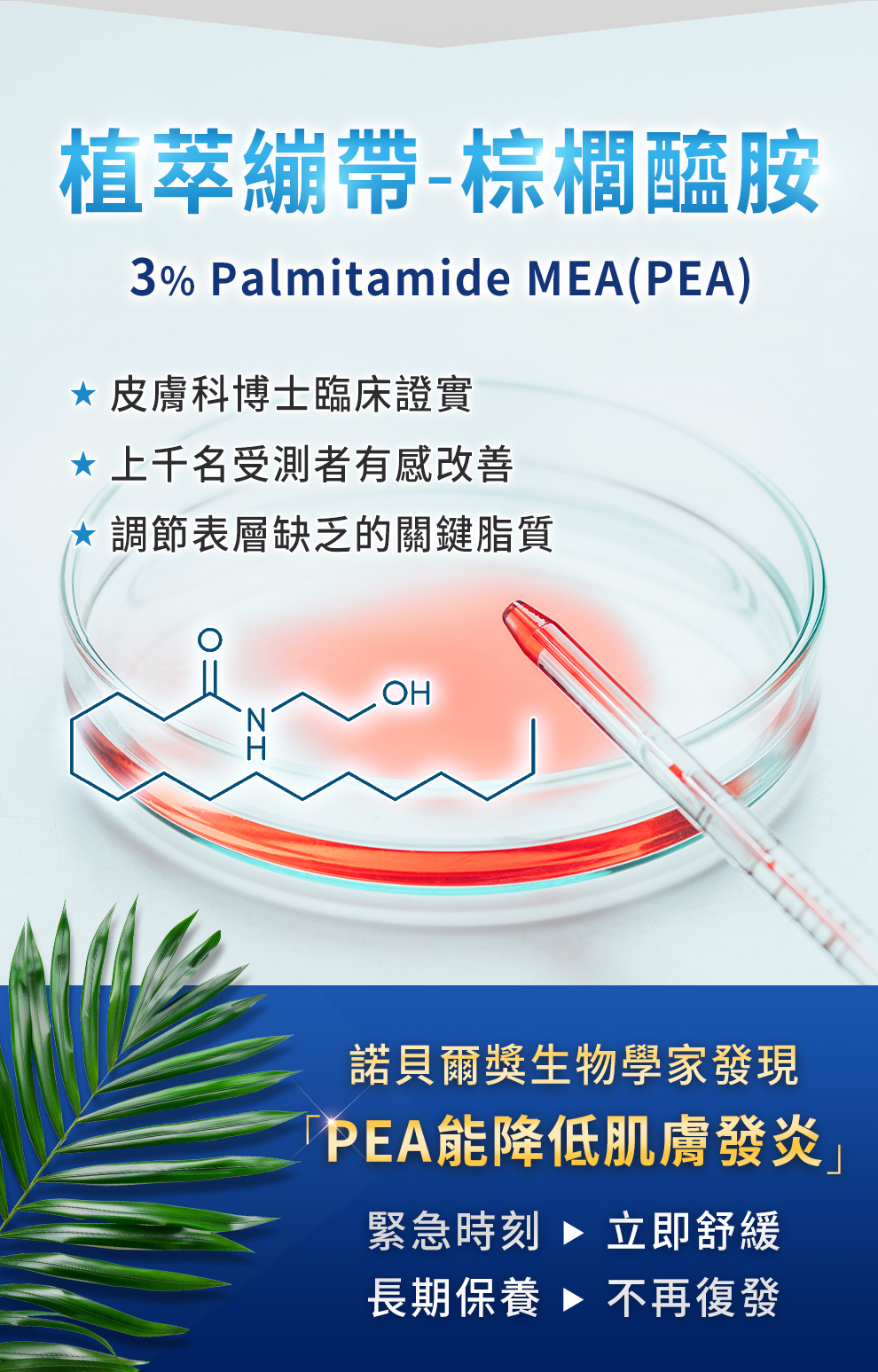 棕櫚醯胺PEA，可以快速止癢，修復過敏性濕疹肌膚