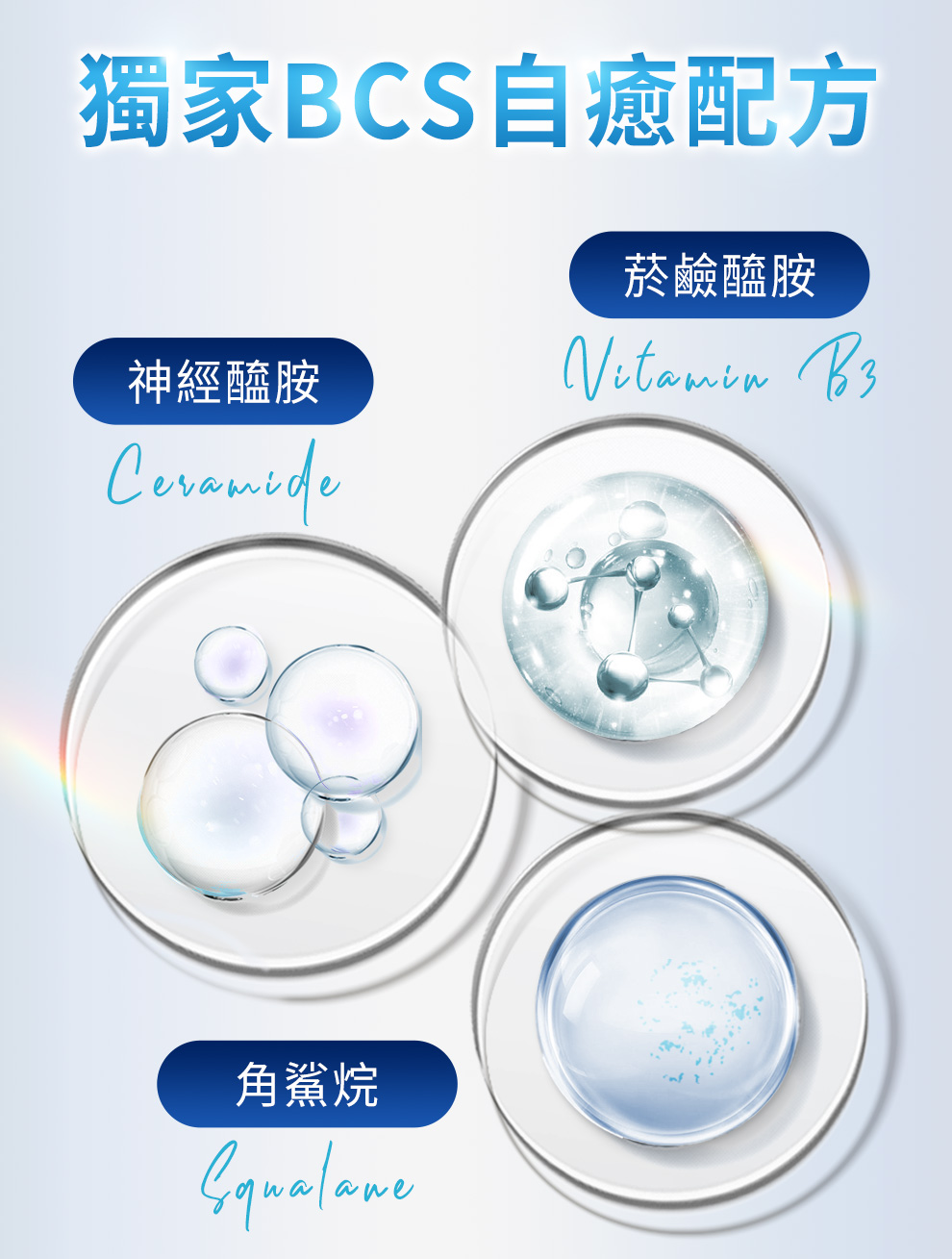 神經醯胺、菸鹼醯胺、角鯊烷