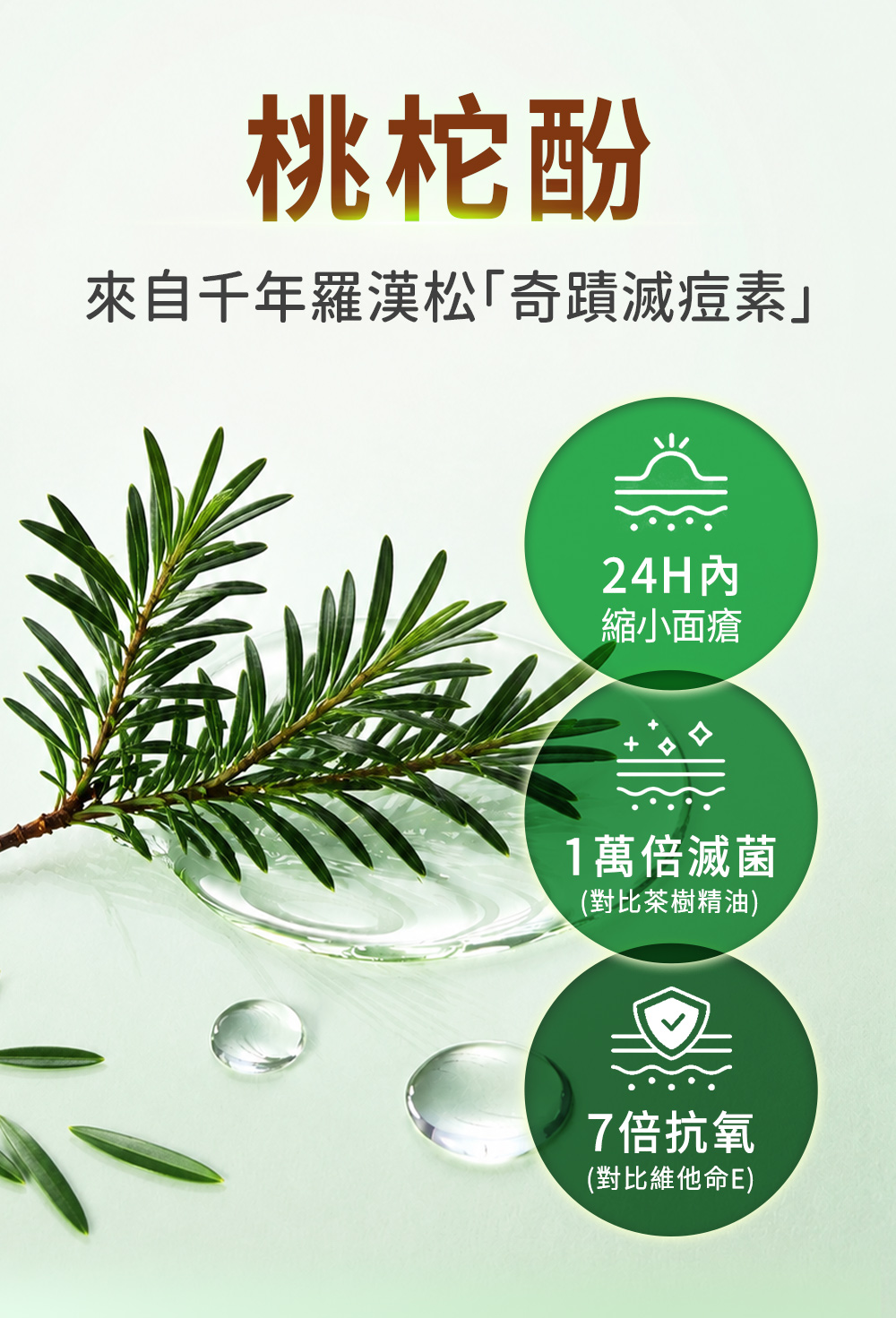 桃杔酚