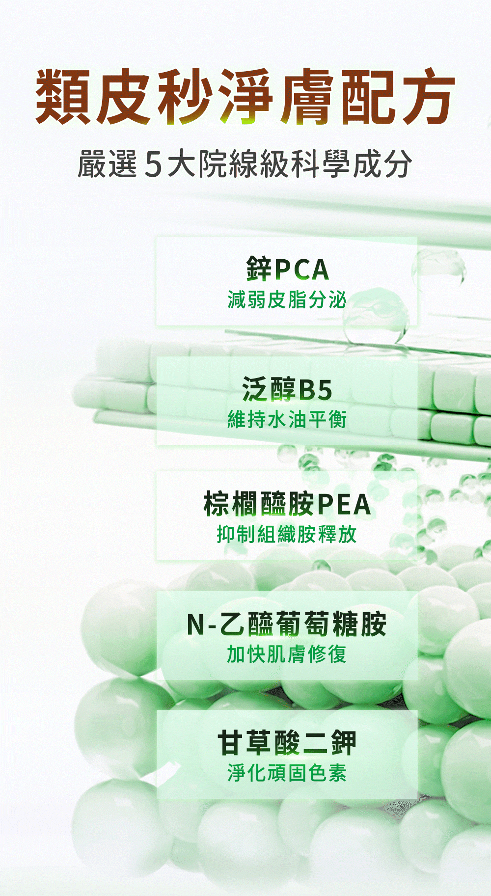 鋅PCA、B5、棕櫚醯胺