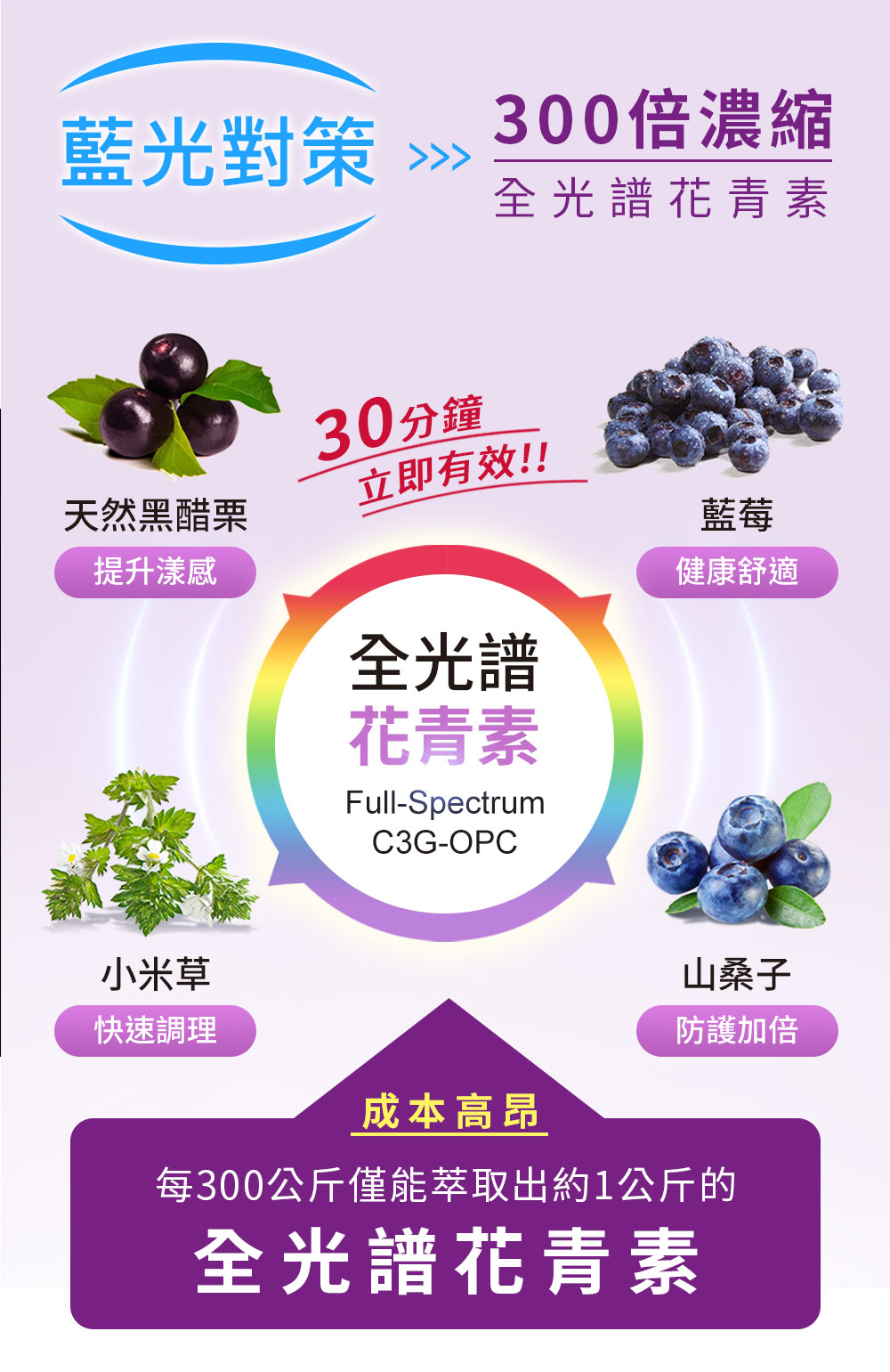 適合全年齡視力保健