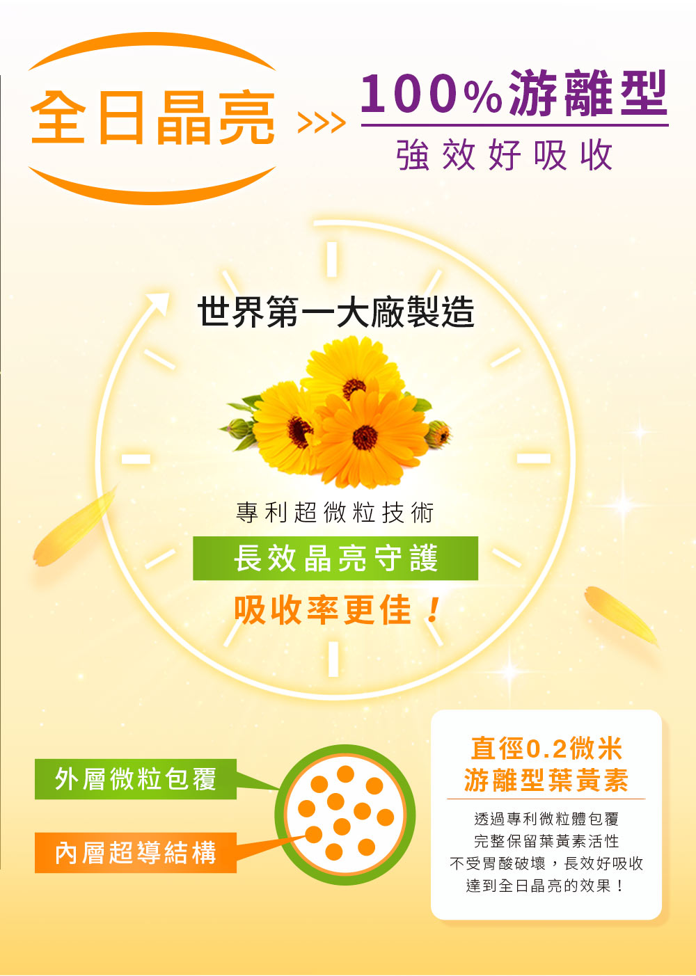 抗藍光配方，珍貴稀有，300倍濃縮全光譜花青素