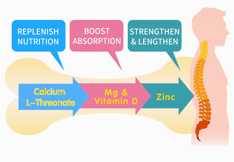 多篇國際期刊報導