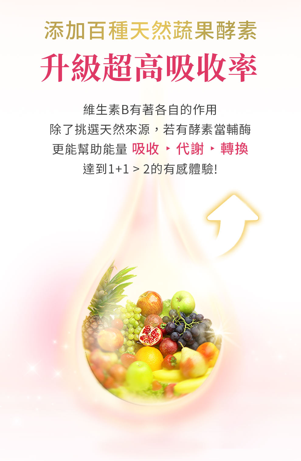 138種蔬果酵素當輔酶，提升超高吸收率