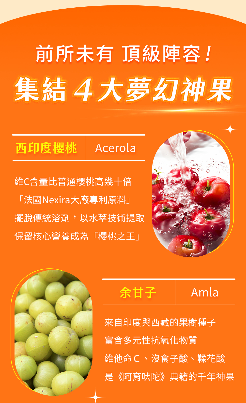 抗氧化、促進鐵吸收、膠原蛋白形成、傷口癒合