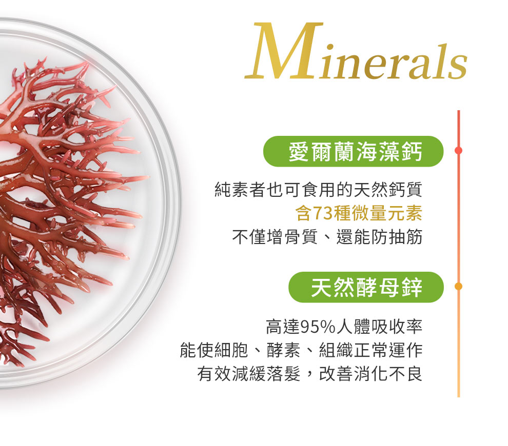 保護黃斑部、活化免疫系統、提神醒腦、抗氧化、保護肝臟