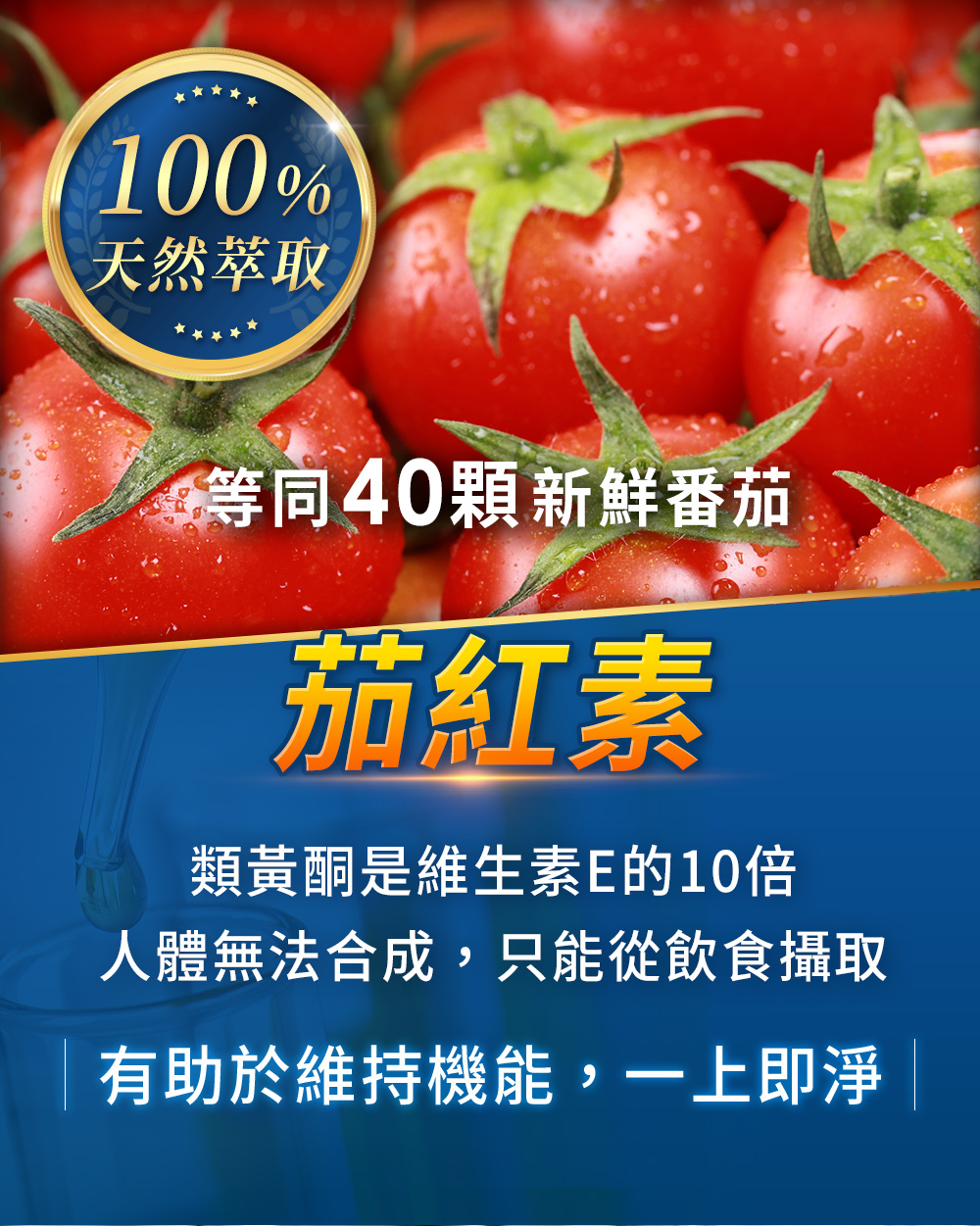 茄紅素富含生物類黃酮,可提升精子活性