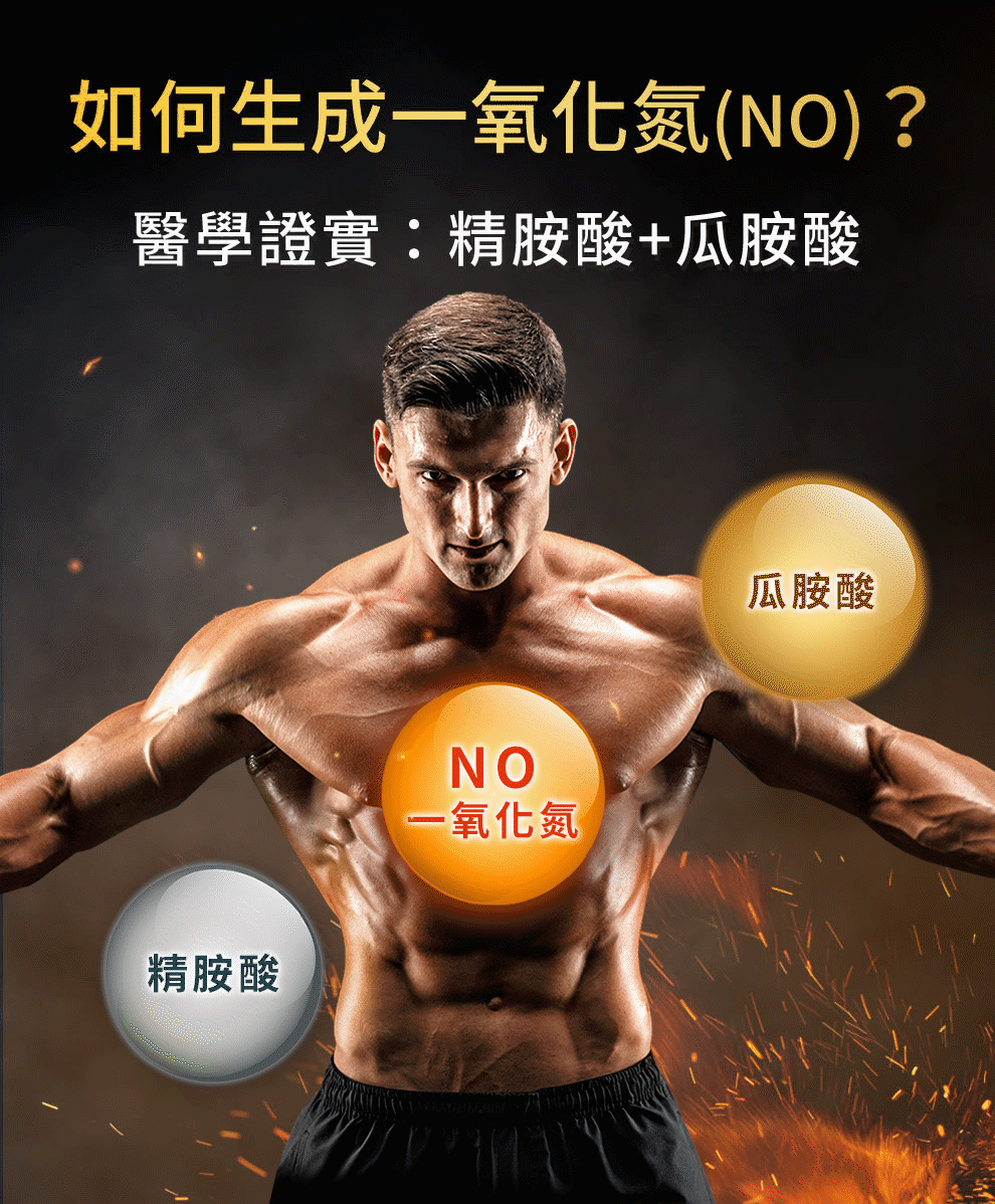 精氨酸+瓜胺酸生成一氧化氮配方，相當於18顆精氨酸膠囊，戰鬥力提升300%