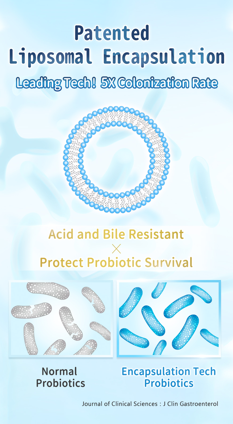 專利多層微脂囊包覆技術，耐胃酸、耐膽鹽，益生菌定殖率提升5倍