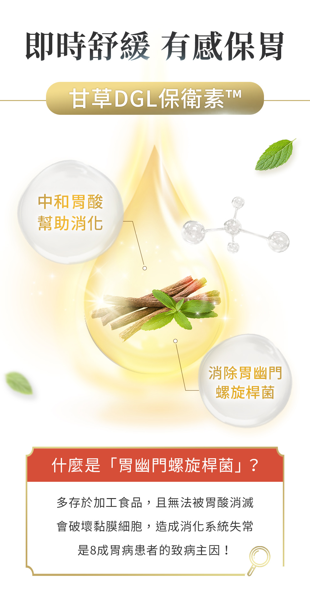 甘草DGL能中和胃酸、幫助消化，消滅胃幽門螺旋桿菌