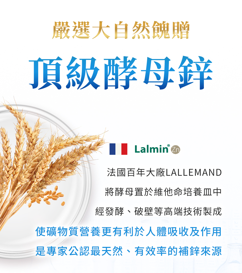 法國Lalmin頂級酵母鋅，使用發酵、破壁提高人體吸收率