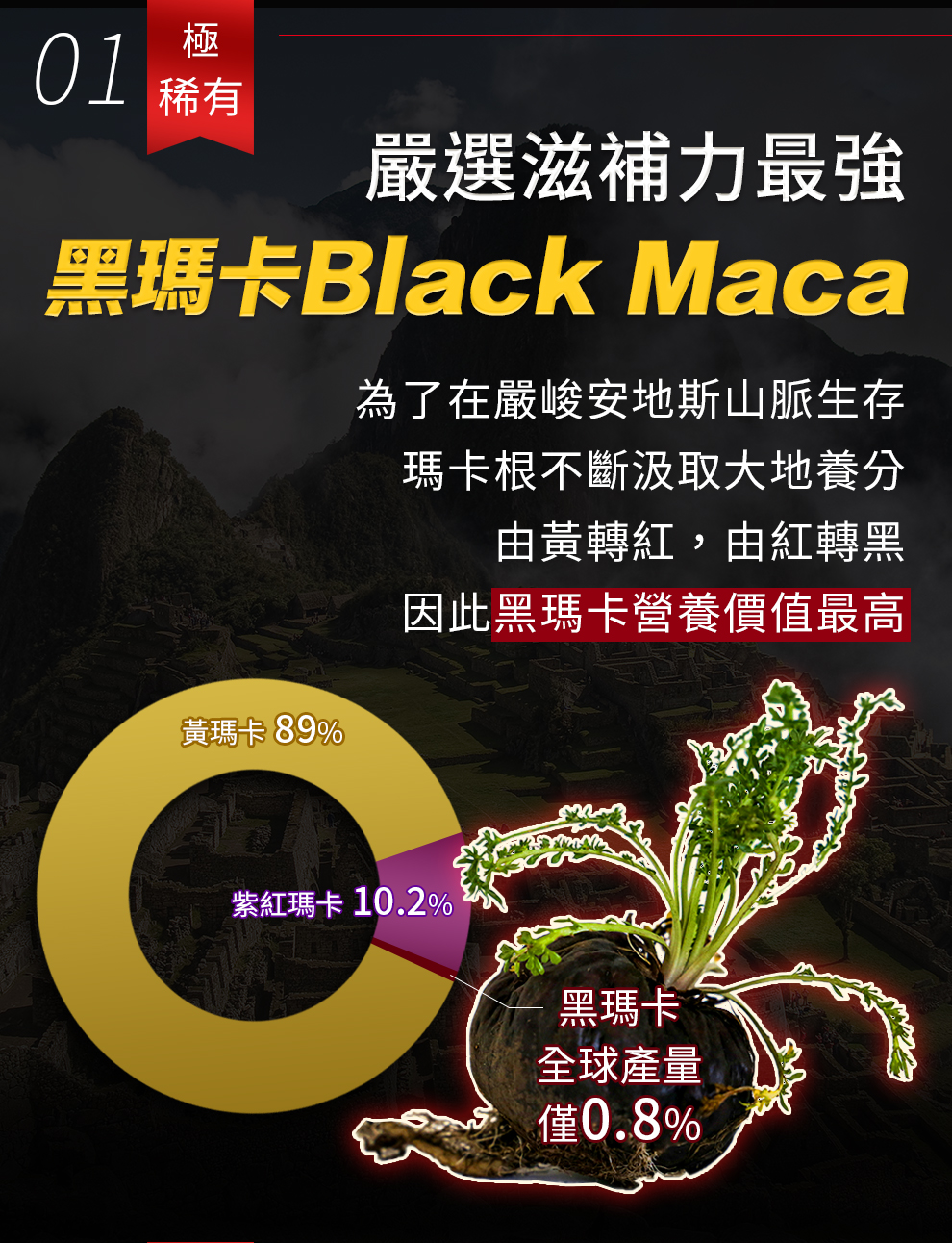 營養價值最高黑瑪卡，幫助男人勇猛壯