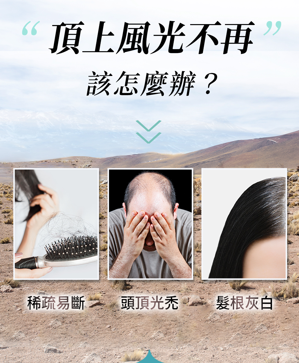 頭髮斷裂、地中海禿、少年白、脫髮