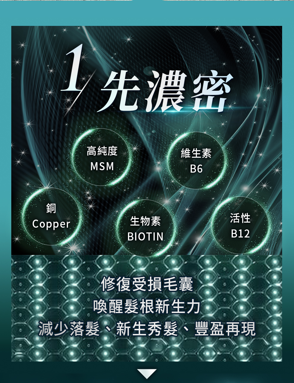 濃密配方：MSM、B6、B12、生物素，髮量增加