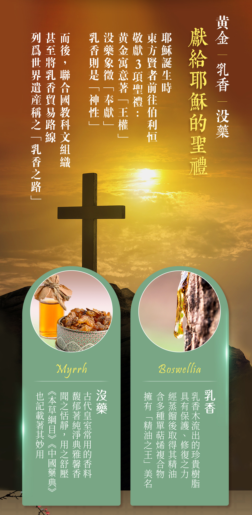 乳香、沒藥獻給基督的聖禮,乳香之路,本草綱目、可紓壓解痛