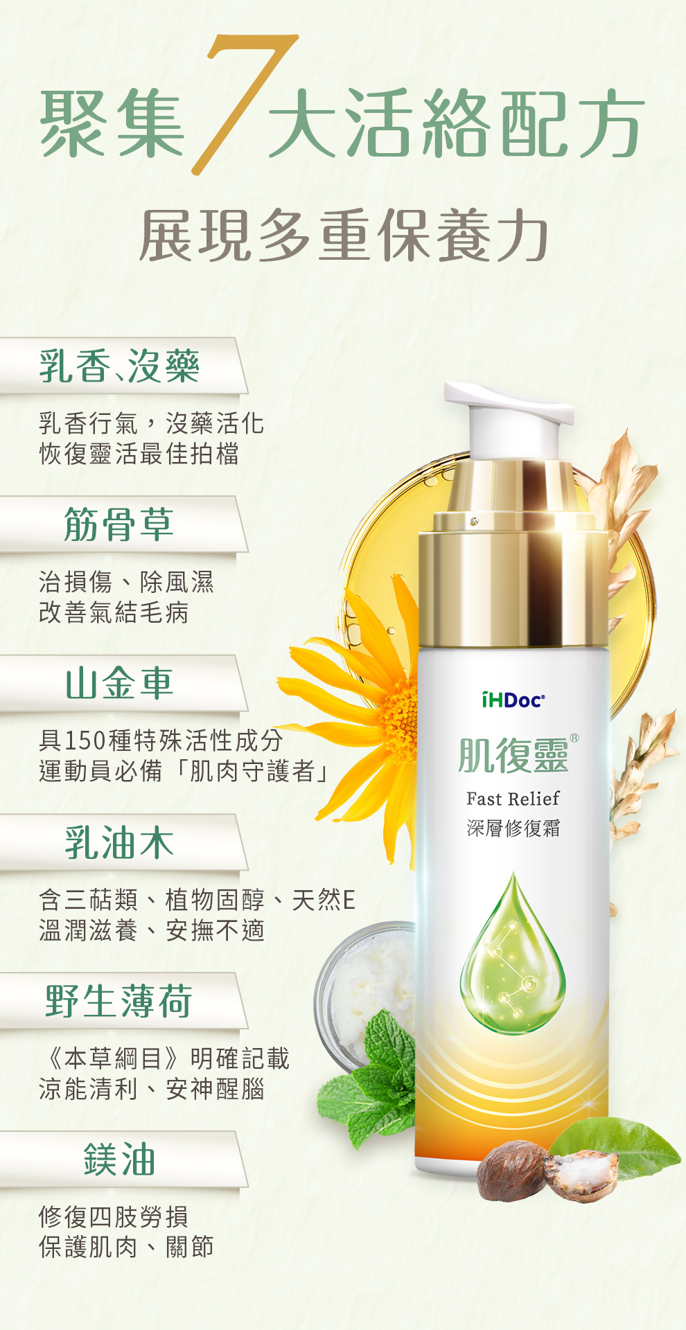 筋骨草、治療風濕、山金車保護肌肉、乳油木舒緩痠痛、野生薄荷安神醒腦