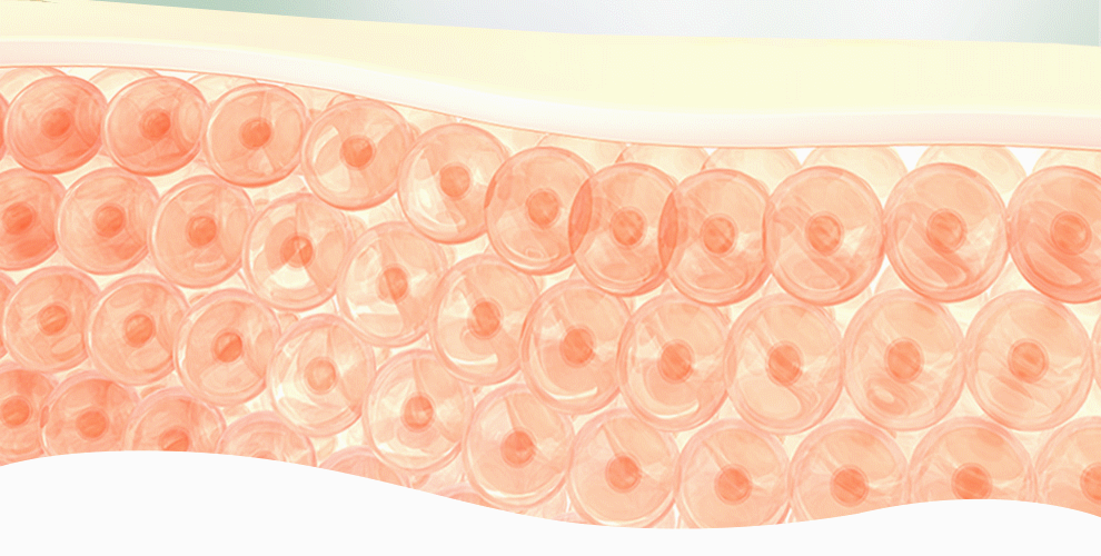 高科技真空瓶避免氧化、小分子快速吸收不黏膩,乳包油劑型最清爽