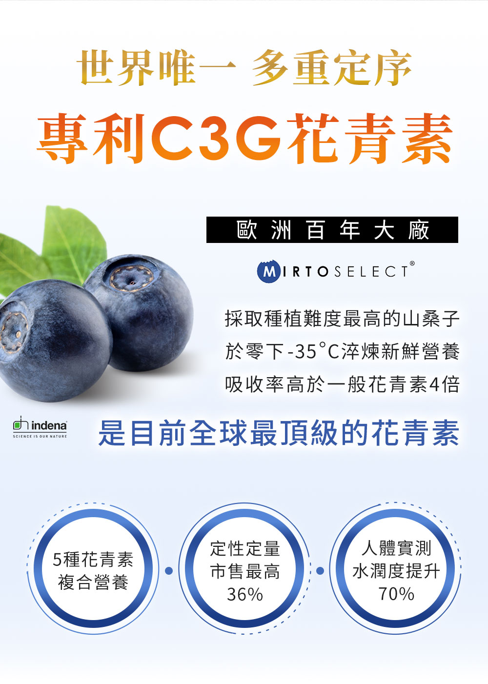 歐洲專利C3G花青素,高濃度山桑子