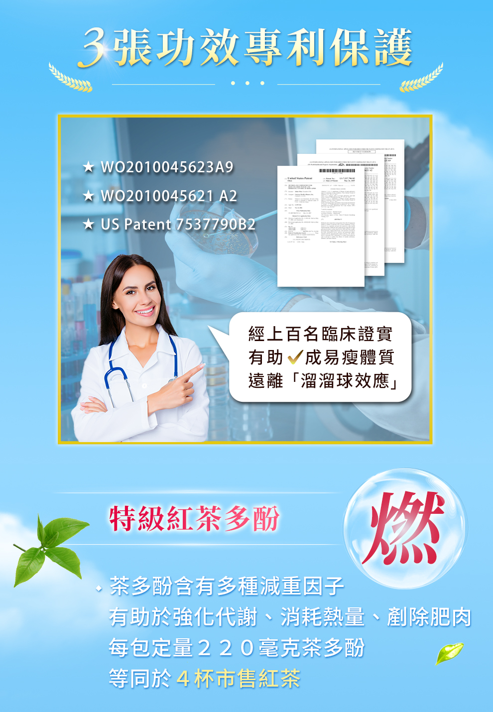 紅茶多酚含兒茶素、花青素、黃酮醇