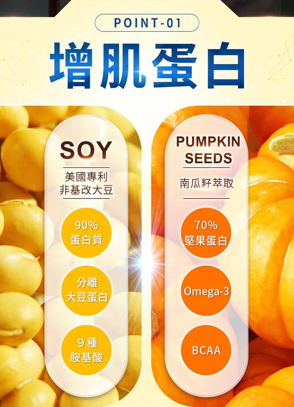 專利非基改大豆蛋白、南瓜子萃取蛋白