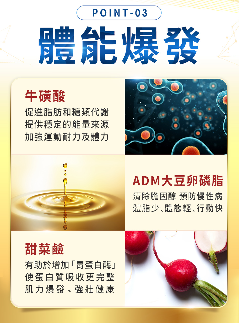 牛磺酸、大豆卵磷脂、甜菜鹼