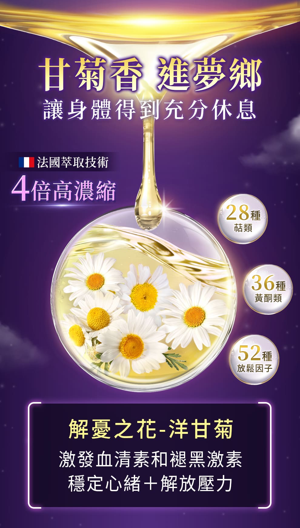 法國四倍洋甘菊萃取,含28種萜類、36種黃酮類,激發血清素和褪黑激素