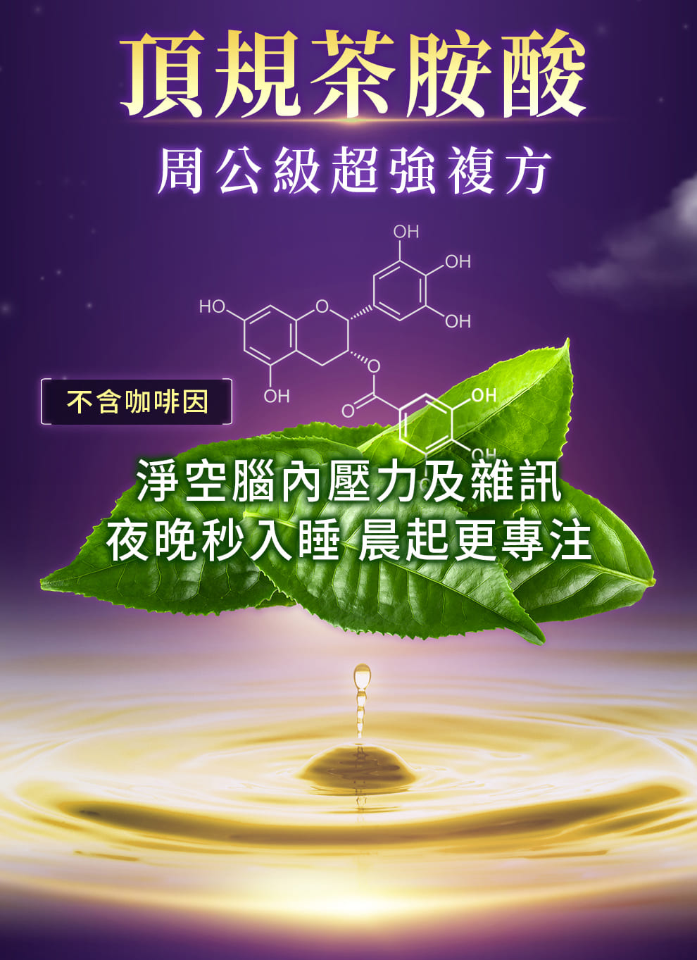 茶胺酸可以淨化腦內壓力,晚上好入睡,白天有精神