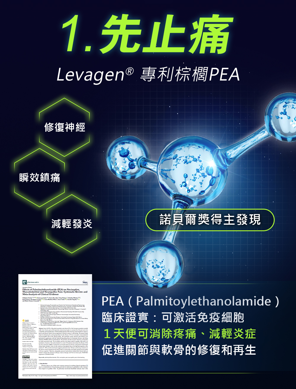 棕櫚PEA,諾貝爾得主發現改善關節痛