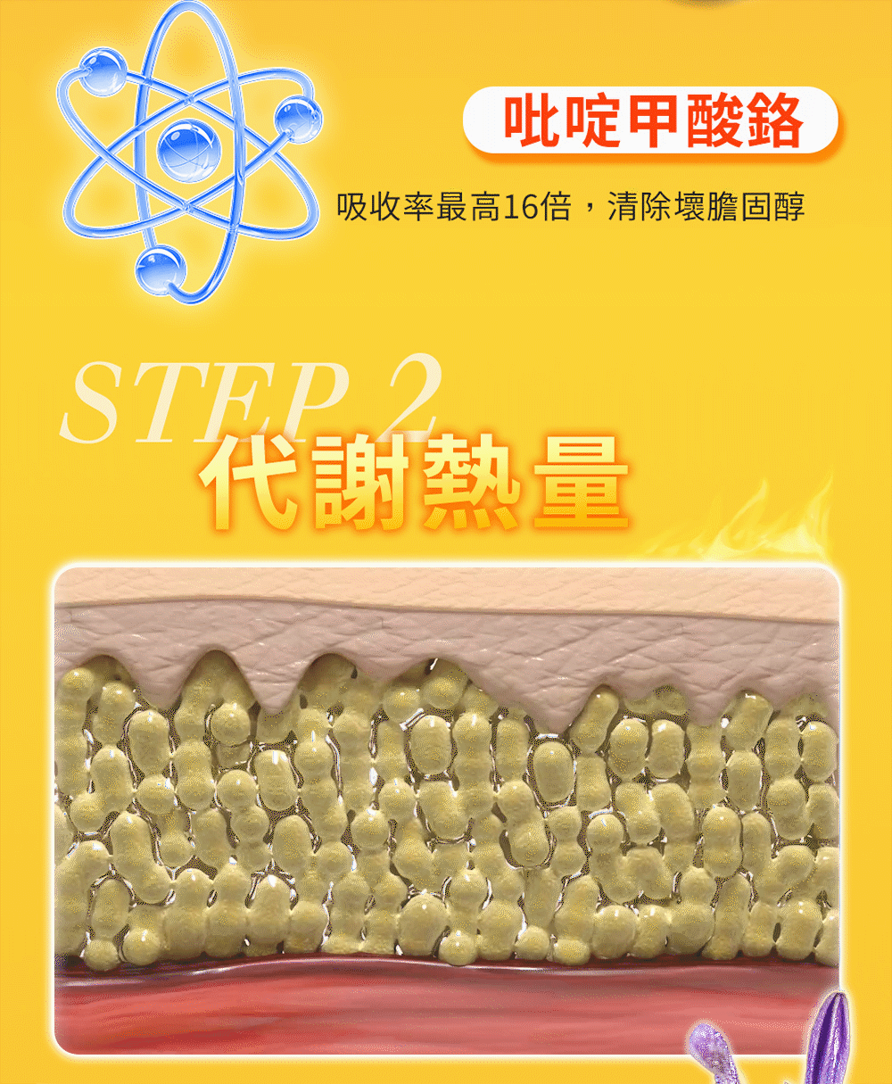 代謝熱量,減少油脂囤積