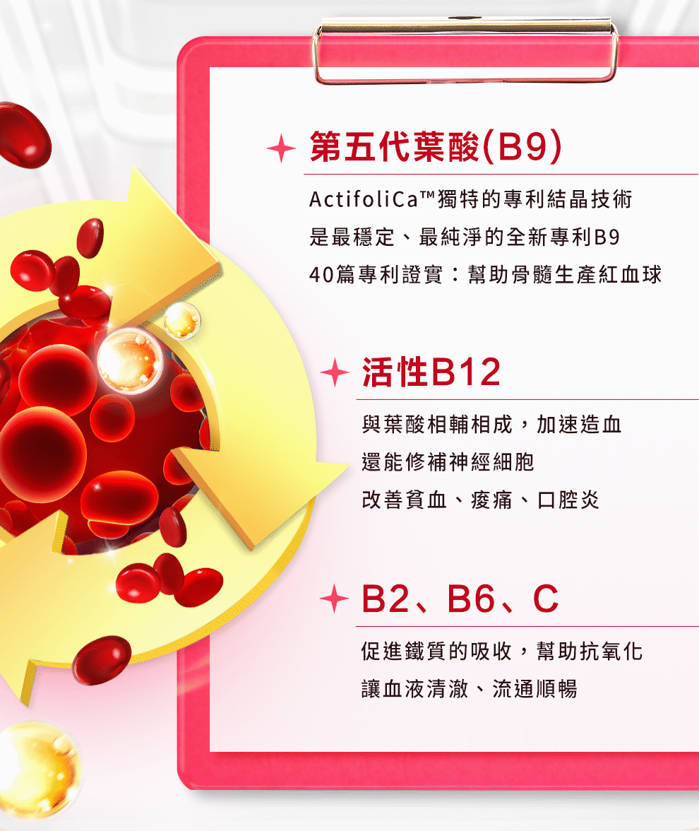 紅棗、枸杞、黃耆