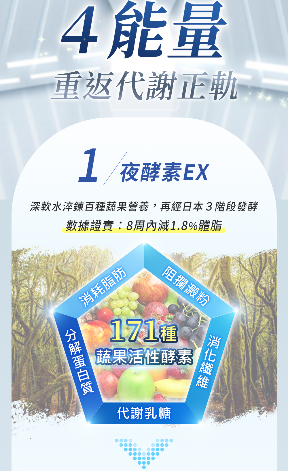 166種蔬果酵素、夜酵素EX