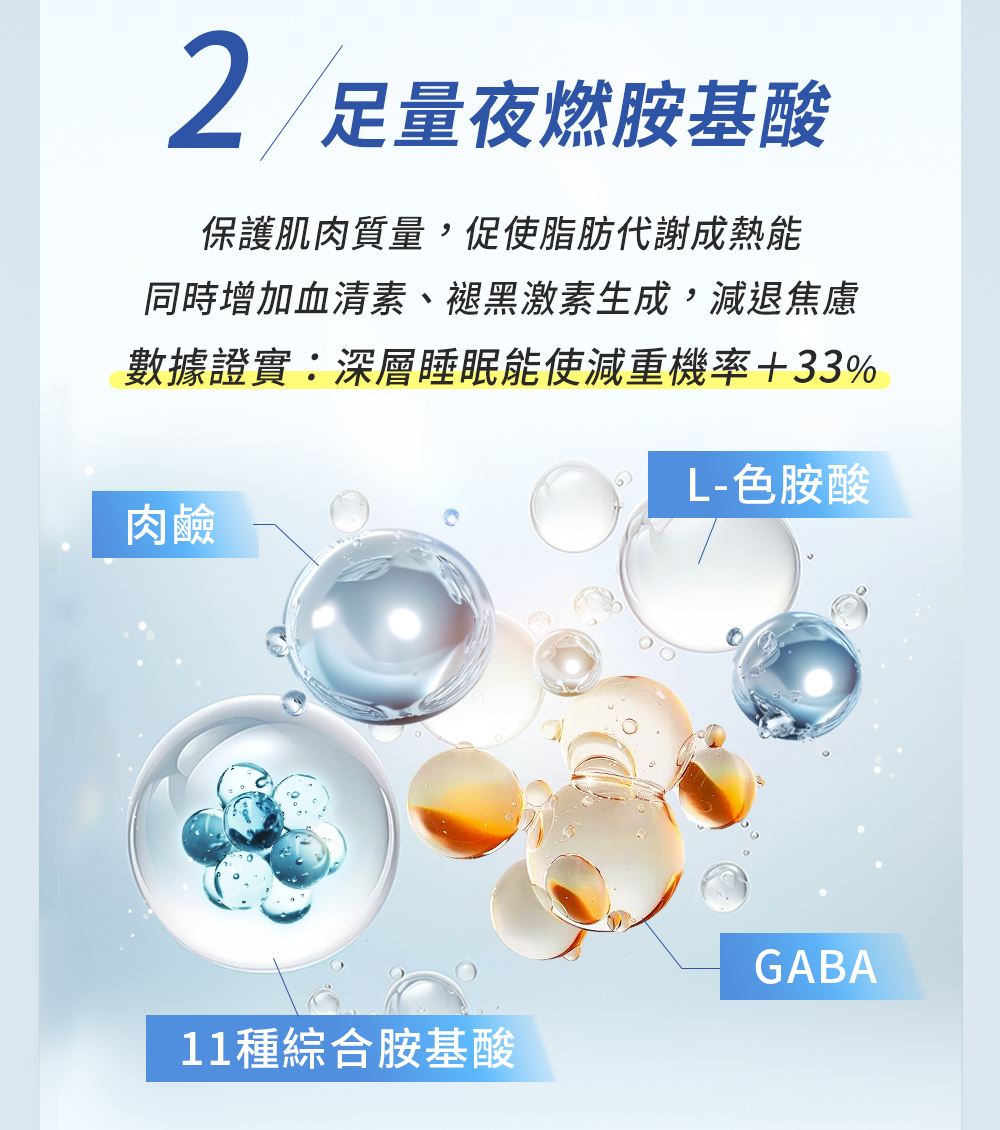 夜燃胺基酸、血清素、退黑激素、肉鹼、色胺酸、GABA