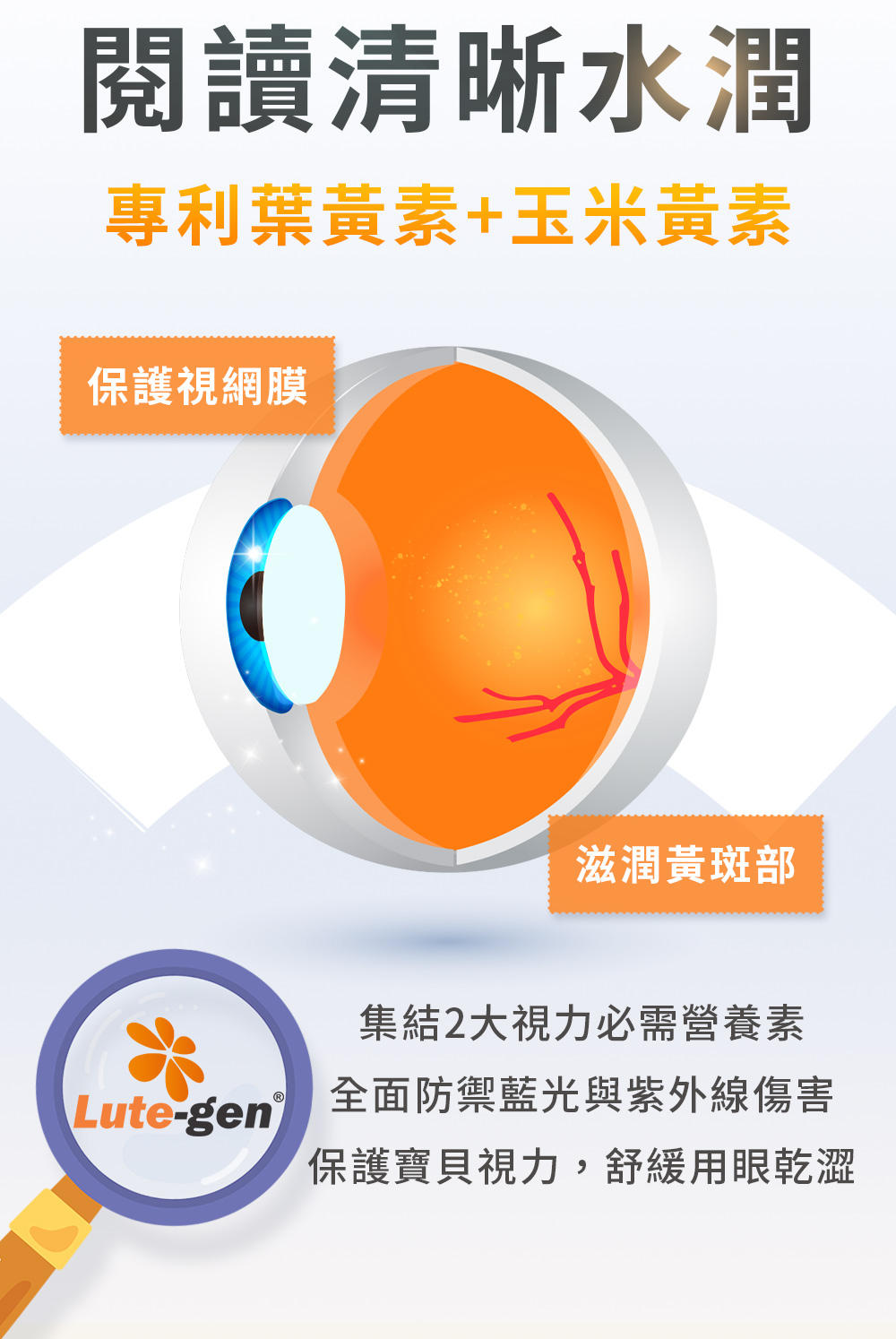 專利葉黃素+玉米黃素,保護視網膜,滋潤黃斑部