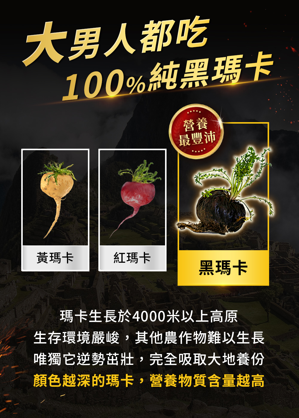 黃瑪卡、紅瑪卡、黑瑪卡，祕魯人參