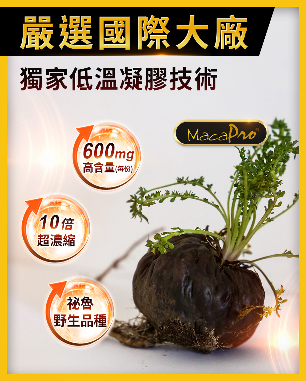 macapro超濃縮瑪卡
