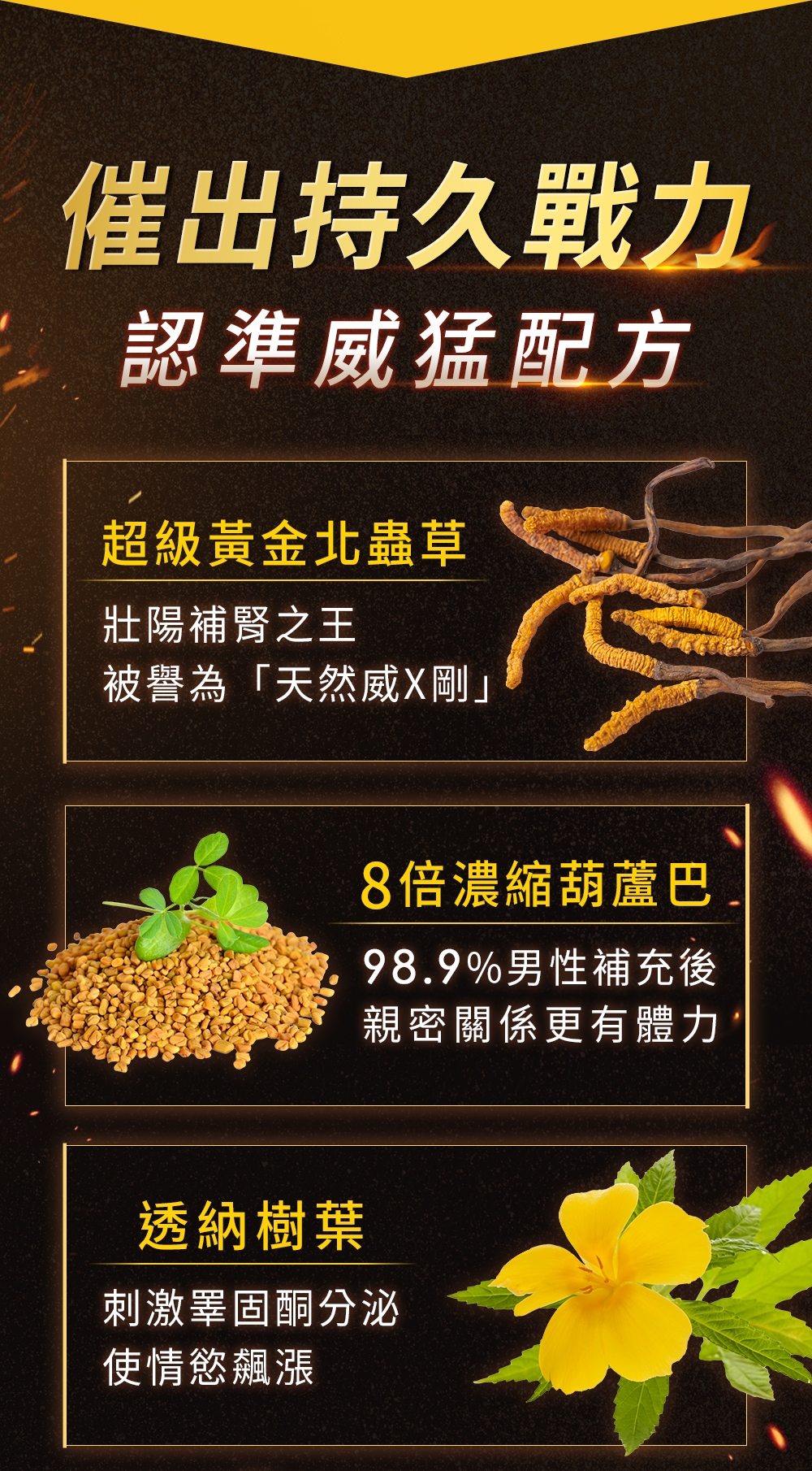 黃金北蟲草、葫蘆巴、透納樹葉、南非醉茄、