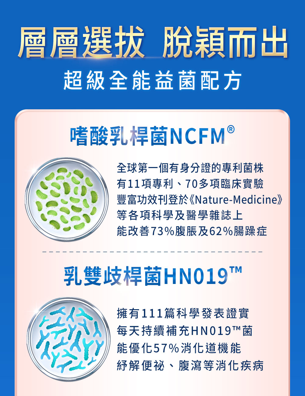 嗜酸乳桿菌、乳霜歧桿菌