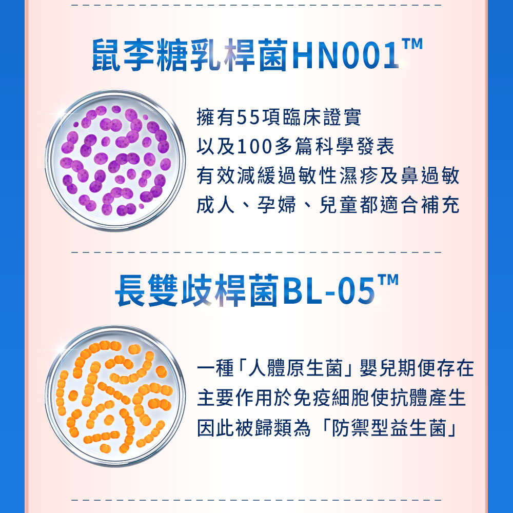 鼠李糖乳桿菌、長雙歧桿菌